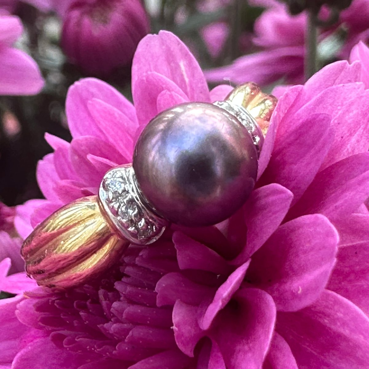 14-karat-yellow-gold-pearl-diamond-ring-300-00083-o-neill-s