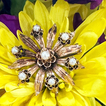 10 Karat Yellow Gold Starburst w/ Pearls  #548-00553