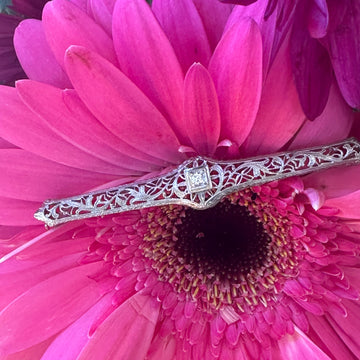 14 Karat White Gold & Platinum Art Deco Pin