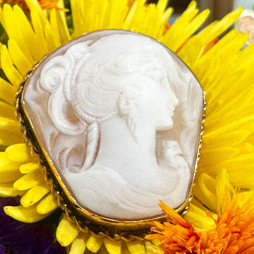 18 Karat Yellow Gold Cameo