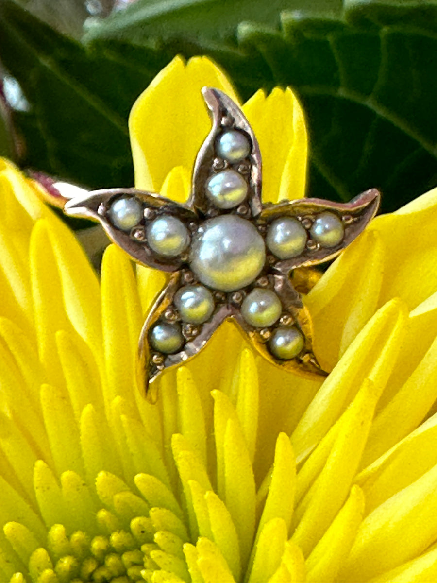 14 Karat Yellow Gold Starfish Ring  # 300-00158