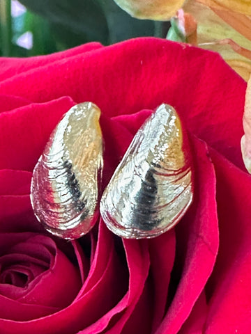 14 Karat Gold Filled Muscle Shell Earrings   # 466-00284