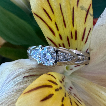14 Karat White Gold Diamond Engagement Ring