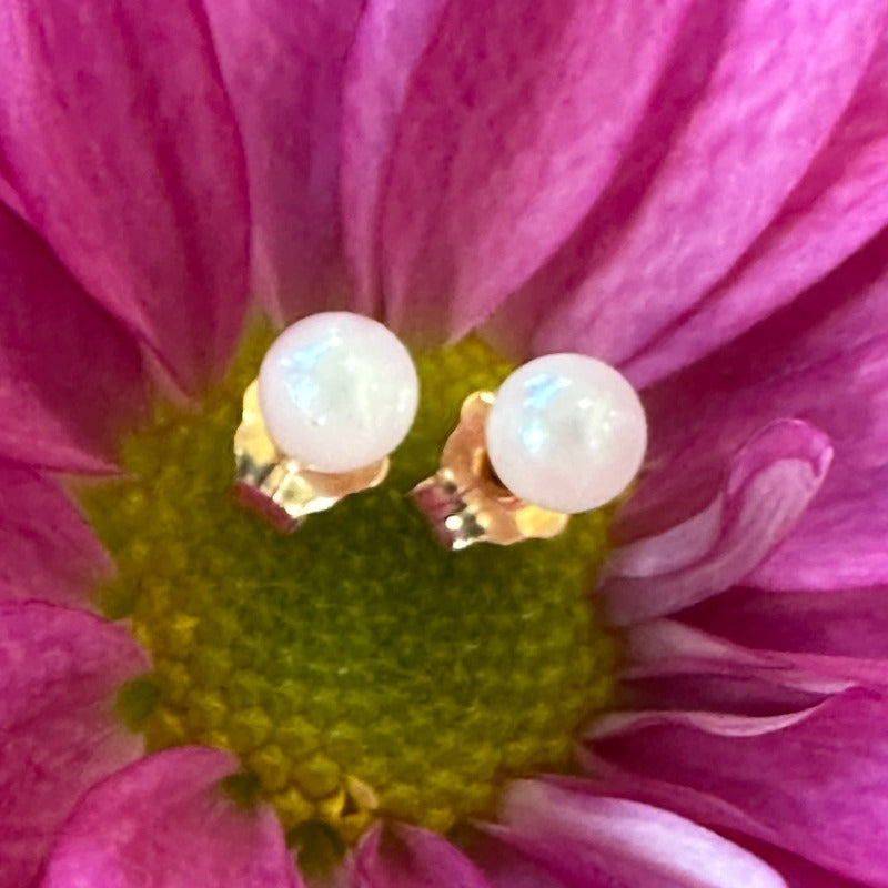 14 Karat Yellow Gold White Cultured Pearl Studs