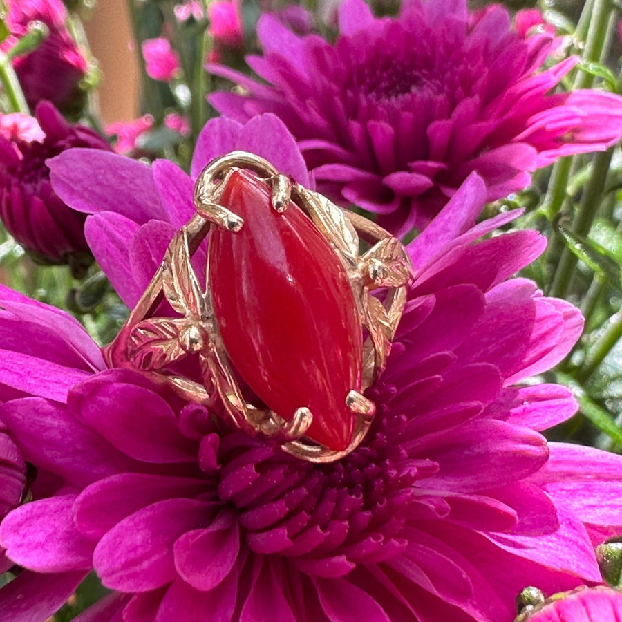 14 Karat Yellow Gold Coral Ring