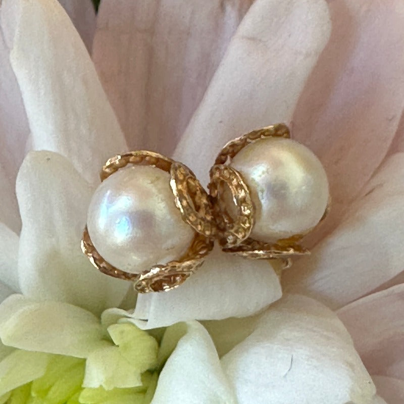 14 Karat Yellow Gold Cultural Pearl Earrings