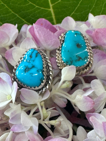 Sterling Silver and Turquoise Earrings  # 210-00881