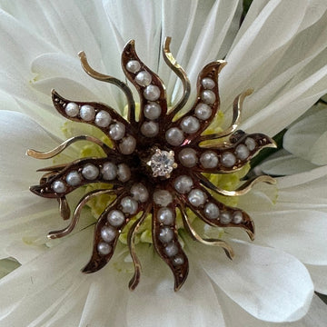 14 Karat Yellow Gold Victorian Starburst Pin w/ Seed Pearls