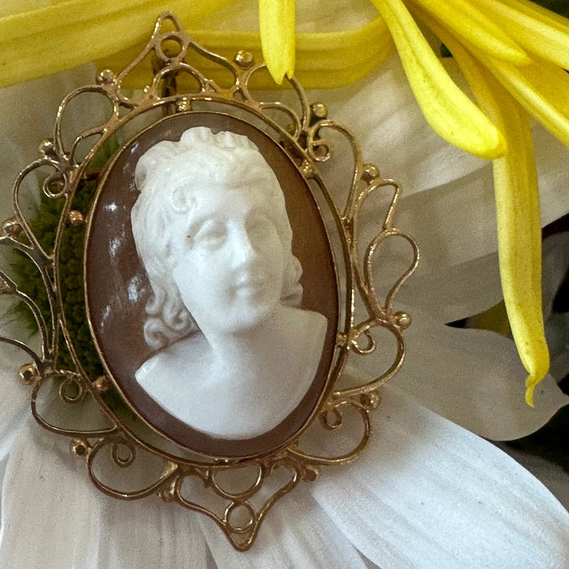 14 Karat Yellow Gold Cameo Pin/Pendant 