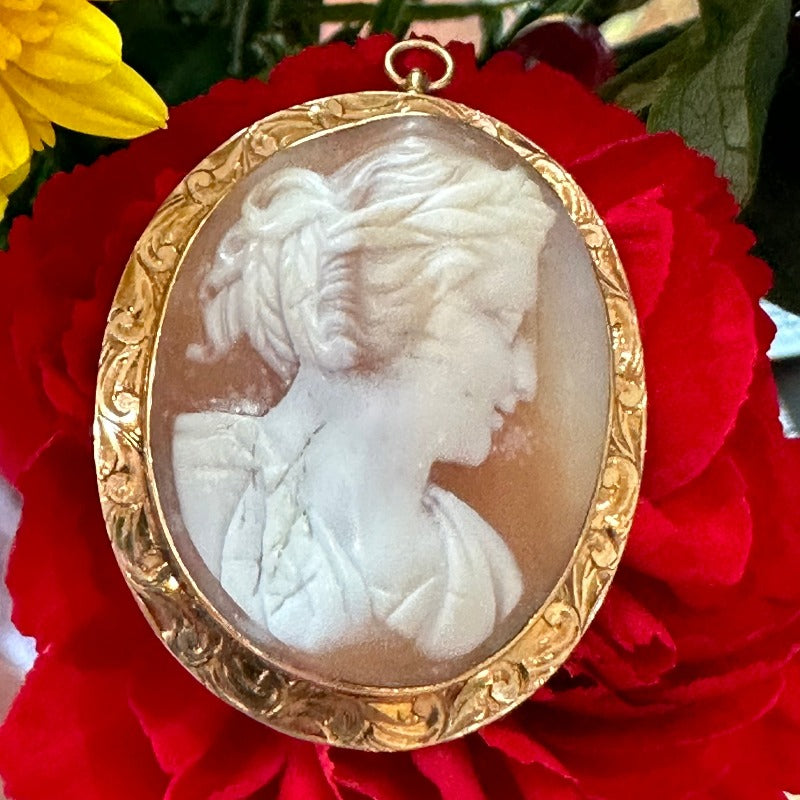 14 Karat Yellow Gold Cameo