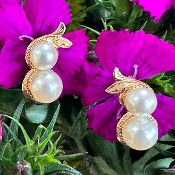 14 Karat Yellow Gold & Cultured Pearl Earrings