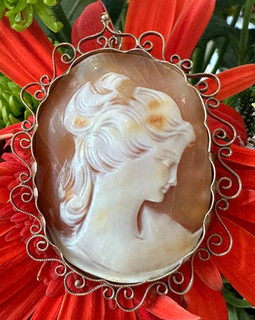 Cameo Shell Pin/Pendant 