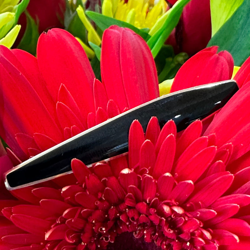 Sterling Silver & Onyx Money Clip