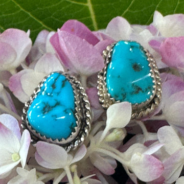 Sterling Silver and Turquoise Earrings