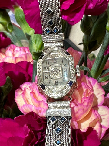 Platinum & 18 Karat White Gold Warwick Ladies Wristwatch